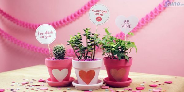 Trưng bày hàng hóa một góc riêng biệt cho mùa Valentine